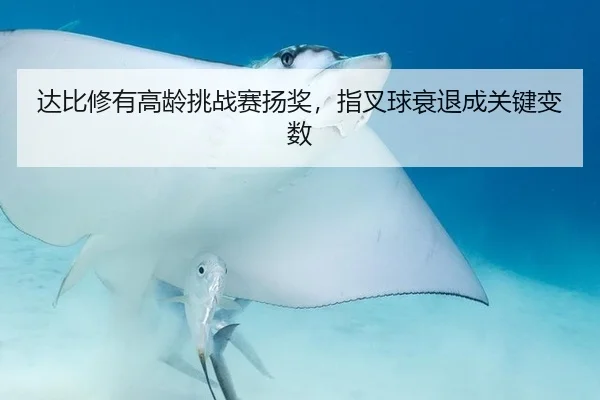 达比修有高龄挑战赛扬奖，指叉球衰退成关键变数