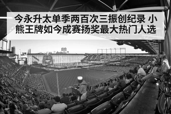 baseball stadium crowd